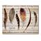 Designart - Exotic Vibrant Boho Feathers - Bohemian & Eclectic Print on Natural Pine Wood